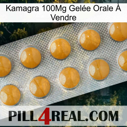 Kamagra 100Mg Gelée Orale À Vendre levitra1
